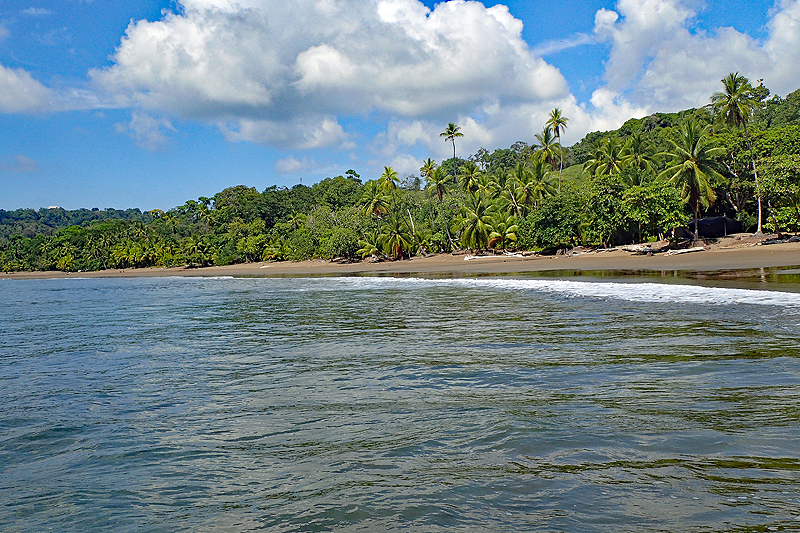 De retour du P.N. Corcovado vers [q]Drake Bay[q]