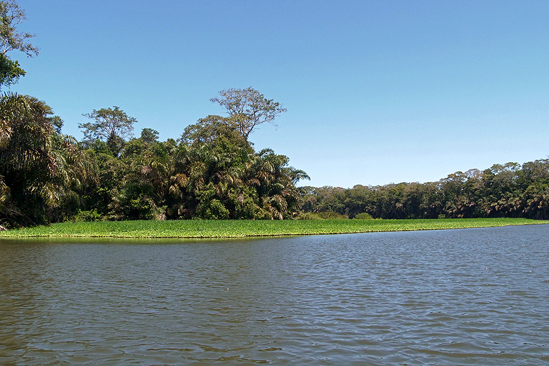 Entre Goshen et la réserve de Pacuare