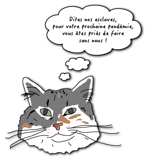 Dessin chat et Covid-19