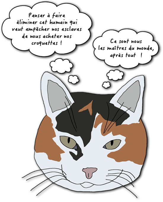 Dessin Chat, maître du monde