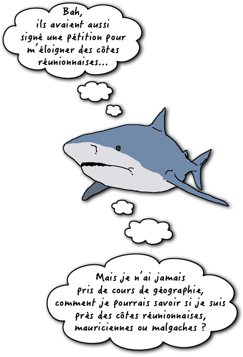 Dessin requin