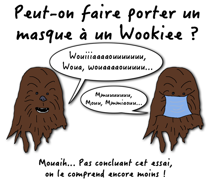 Dessin wookiee et le masque ?