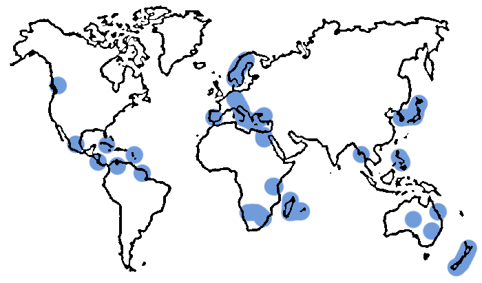 Carte chaleur
