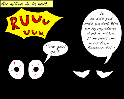 BD crocs dans la nuit 2