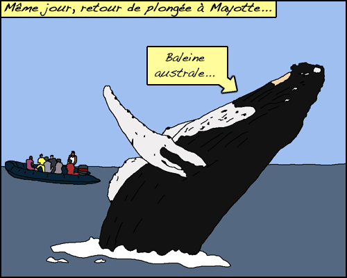 BD out of France - 3