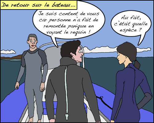 BD panique en pleine eau 2