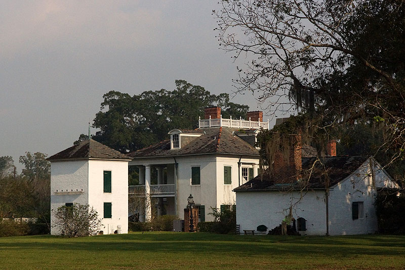 [q]Evergreen plantation[q]