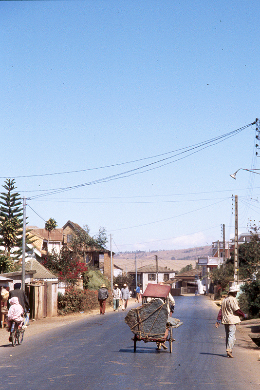 Antongona