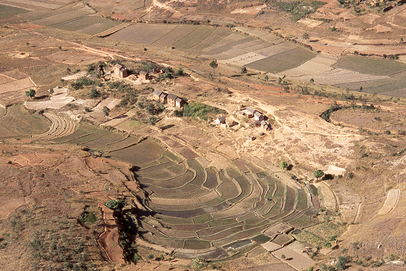 Antongona