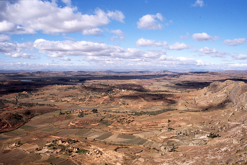 Antongona