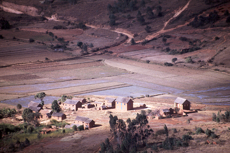 Antongona