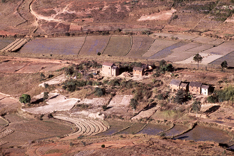 Antongona