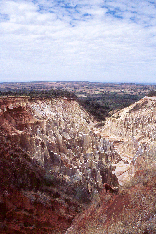 Ankarafantsika
