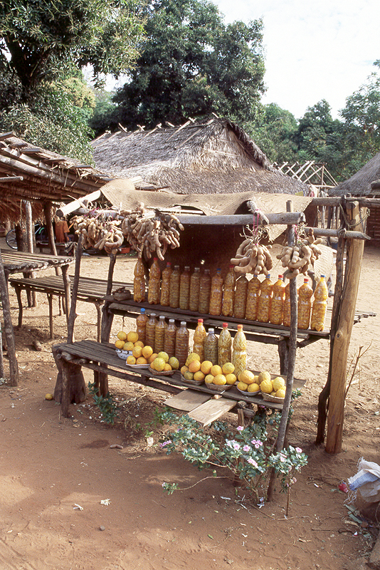 Ankarafantsika
