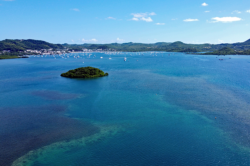 Le Marin