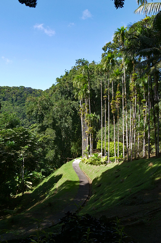 Le Jardin de Balata