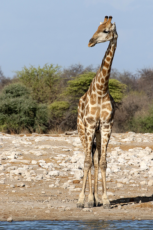 Environs de Namutoni