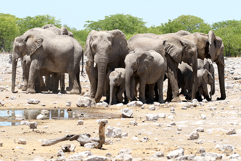 Environs de Namutoni