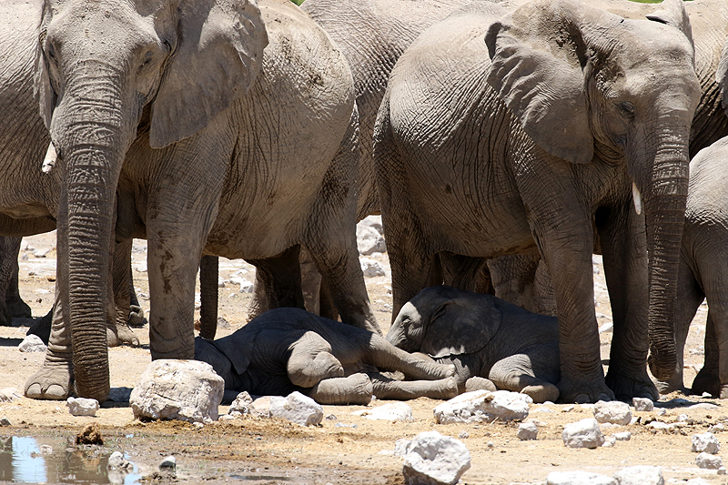 Environs de Namutoni