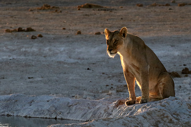 Environs d Okaukuejo