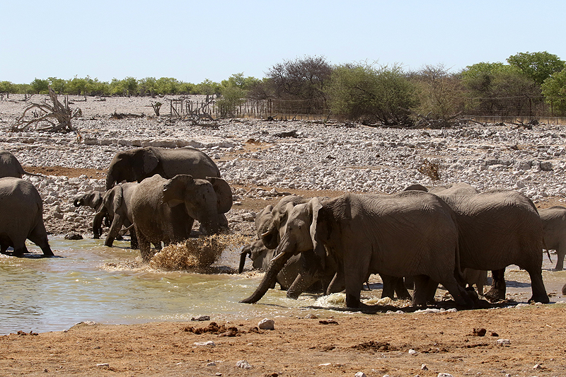 Environs d Okaukuejo