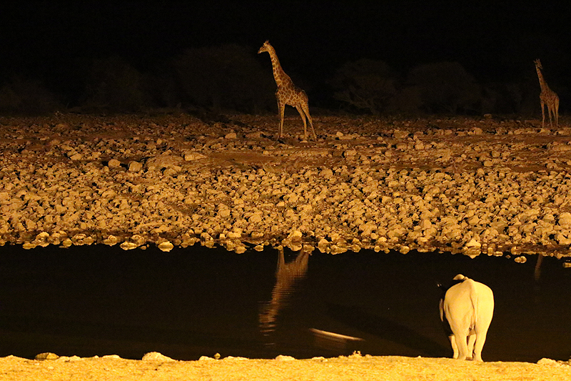 Environs d Okaukuejo