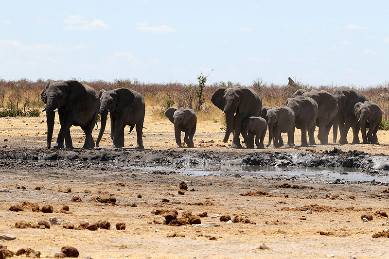 Environs de Dolomite