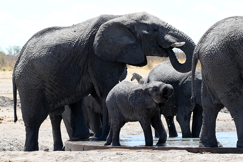 Environs de Dolomite