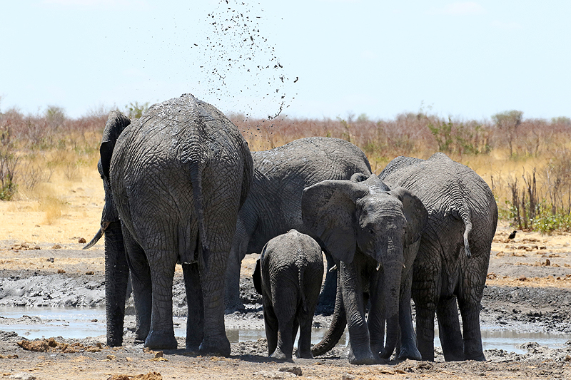Environs de Dolomite