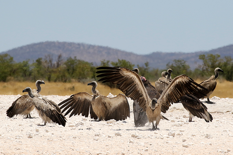 Environs de Dolomite