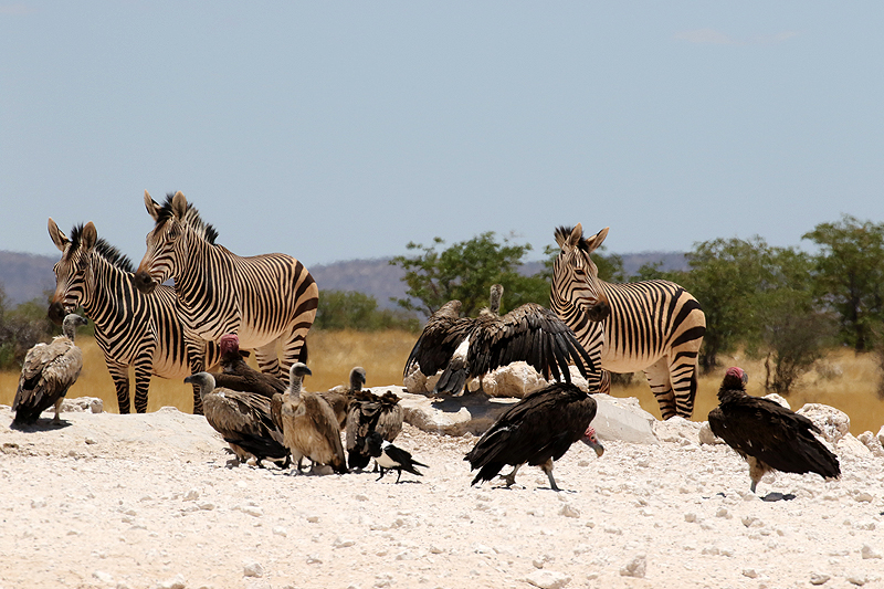 Environs de Dolomite