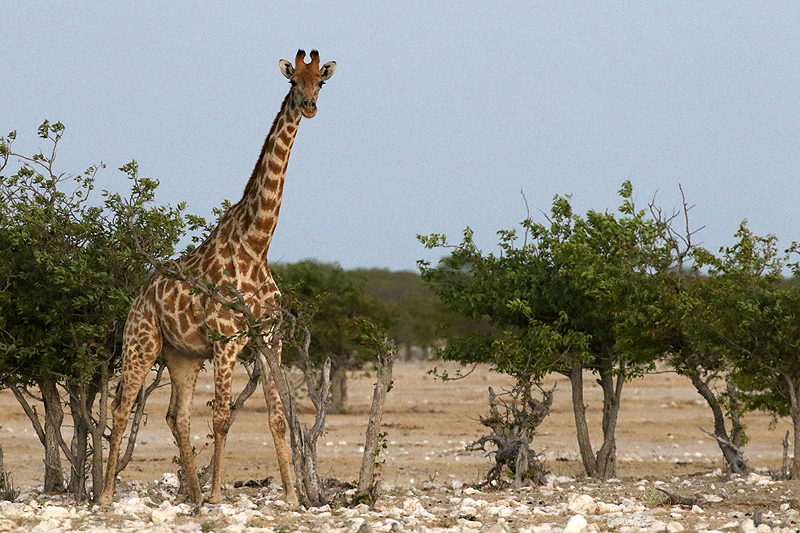 Environs de Dolomite