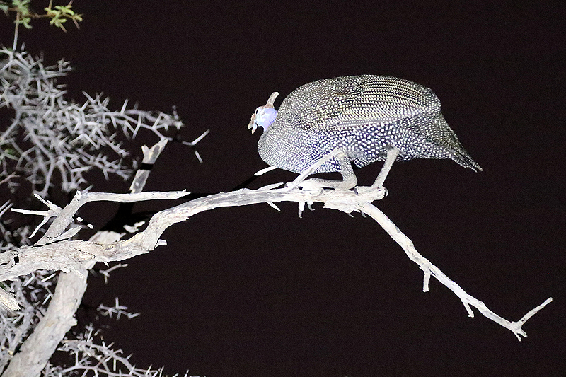 Environs de Dolomite