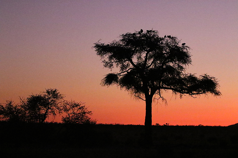 Environs de Dolomite