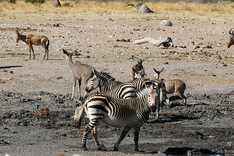 Environs de Dolomite