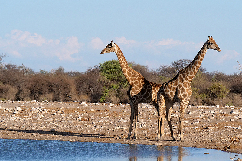 Environs de Namutoni