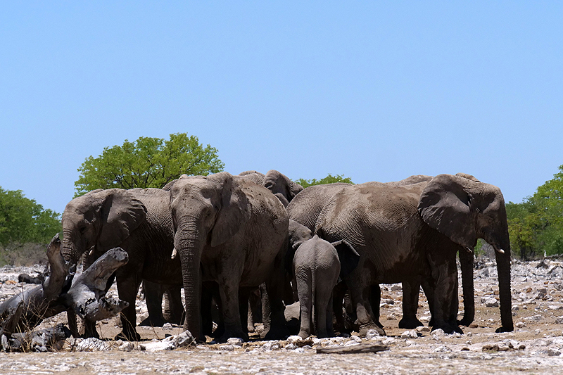 Environs de Namutoni