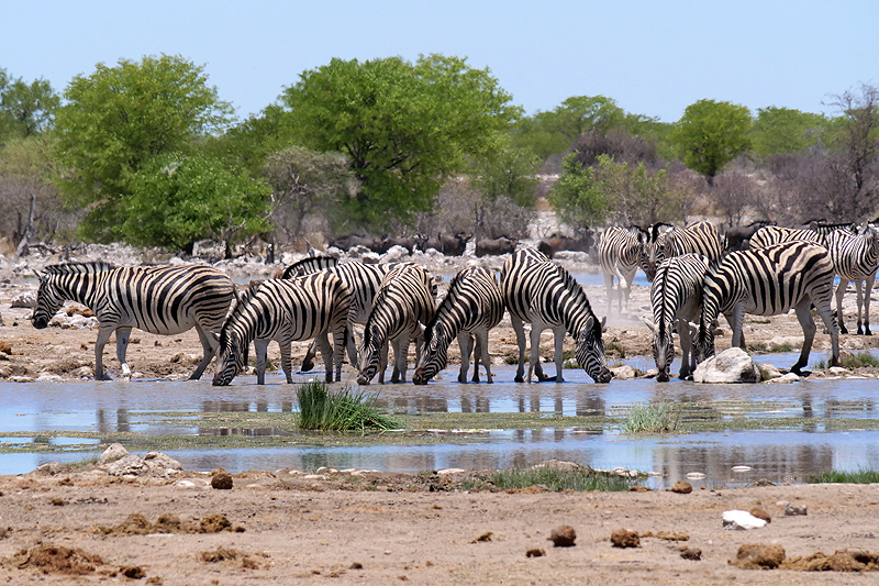 Environs de Namutoni