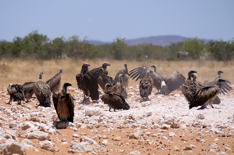 Environs de Dolomite