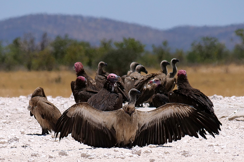 Environs de Dolomite