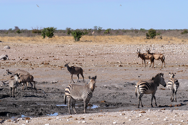 Environs de Dolomite
