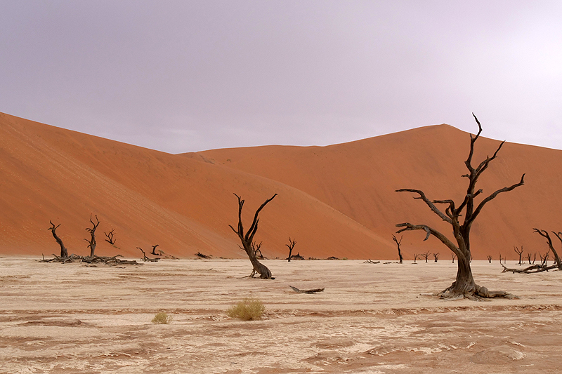 Sossusvlei