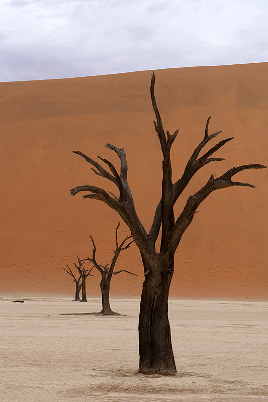 Sossusvlei