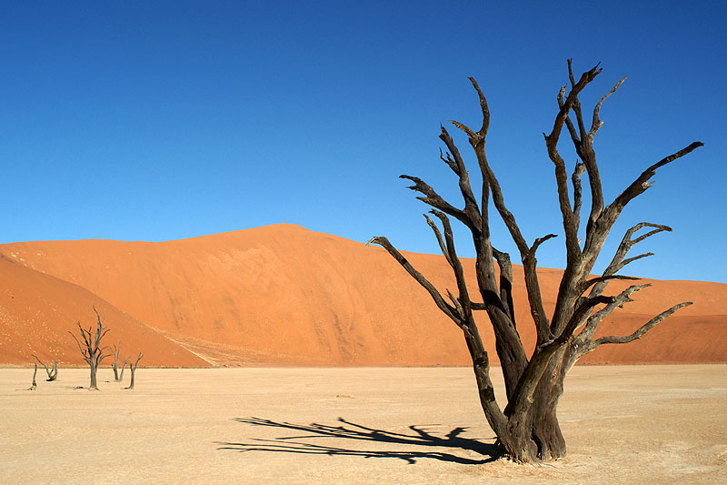 Photo Namibie