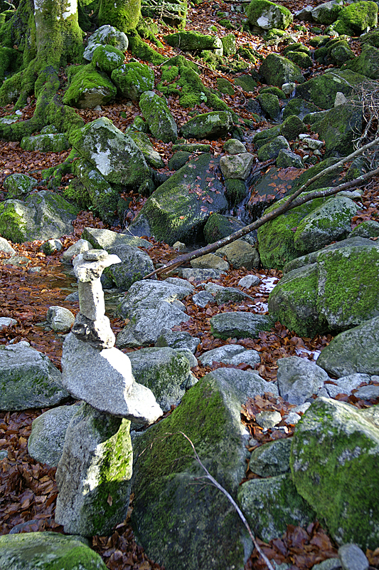 Cirque du Garbettou - Le long du chemin de randonnée...