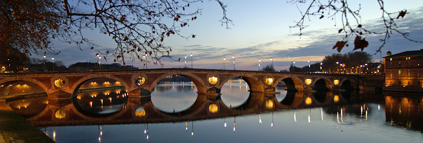 Toulouse de Nuit - Pont neuf