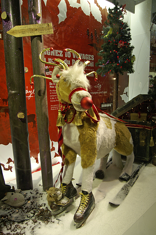 Toulouse de Nuit - Vitrines de Noël