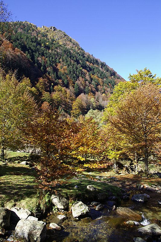 Cirque de Cagateille - Couleurs de l automne