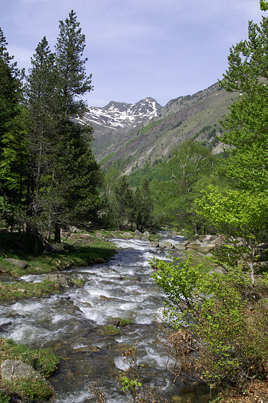 Marmottes et Izards - Vallée d Orlu