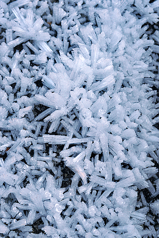 Ruisseau du Quioules - Cristaux de glace
